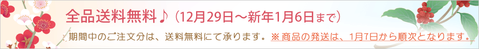 期間中全品送料無料♪（2020年12月29日～2021年1月6日まで）