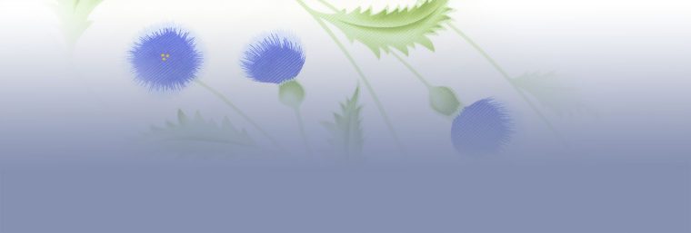 展示会のご案内「2017年 夏・単衣 お披露目会」