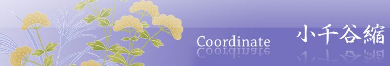 旬のお勧めコーディネイト「小千谷縮（おじやちぢみ）」