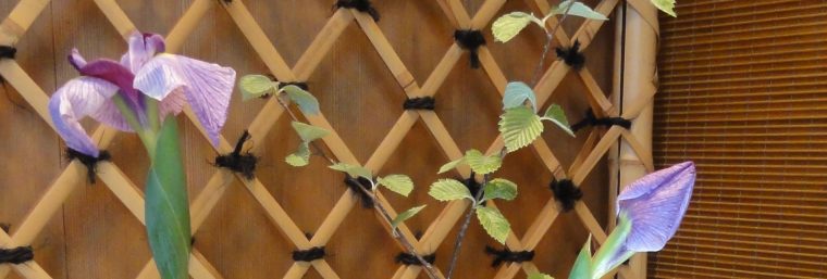 実店舗・オフィシャルサイト・オンラインショップ 共通ご利用ガイド