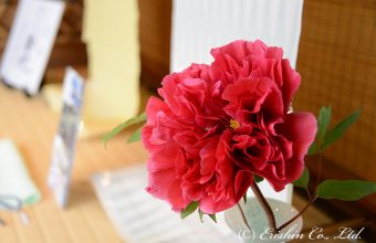 牡丹の花