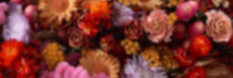 フォトサービス