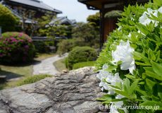 着物・呉服えり新、展示会場