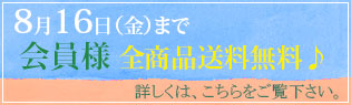 8月16日（金）まで送料無料