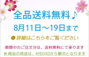 送料無料♪フェア　期間中送料無料