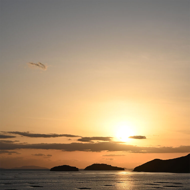 姫路・呉服えり新