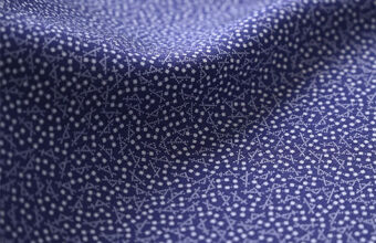 人間国宝　小宮康正　江戸小紋（千切）