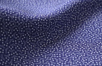 人間国宝　小宮康正　江戸小紋（千切）