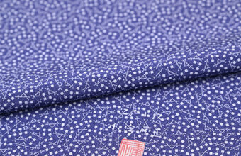 人間国宝　小宮康正　江戸小紋（千切）